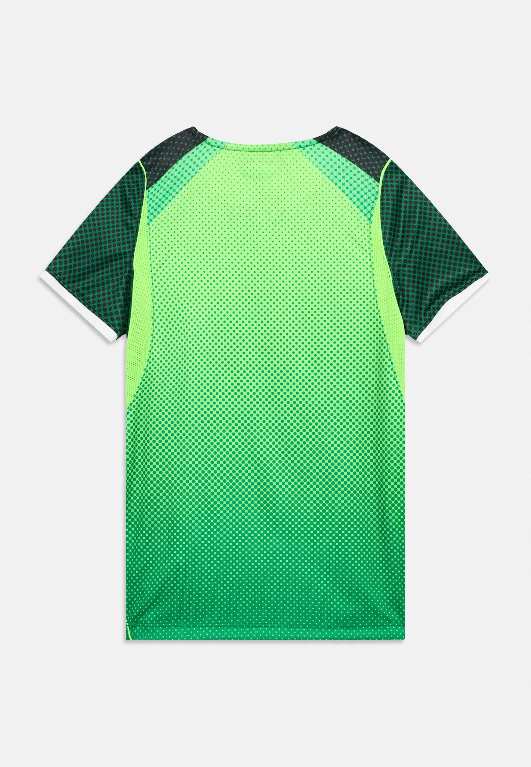 Nike Performance NIGERIA NFF STAD UNISEX