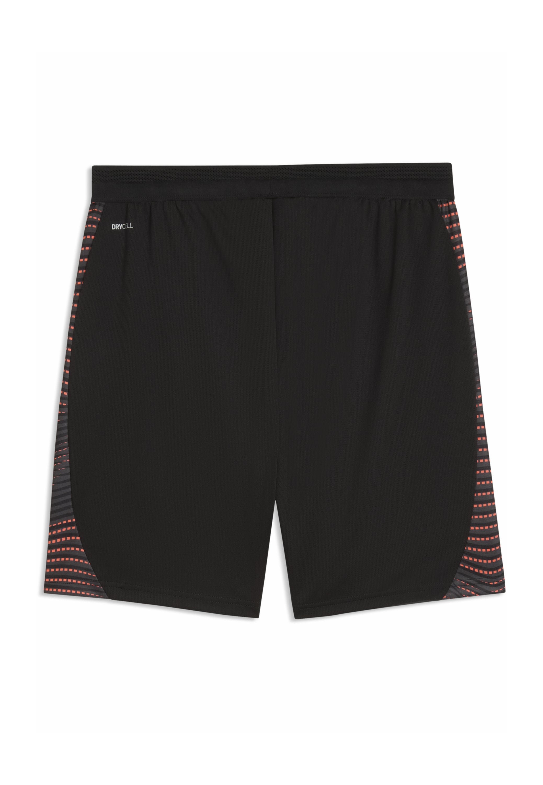 Puma INDIVIDUALFINAL