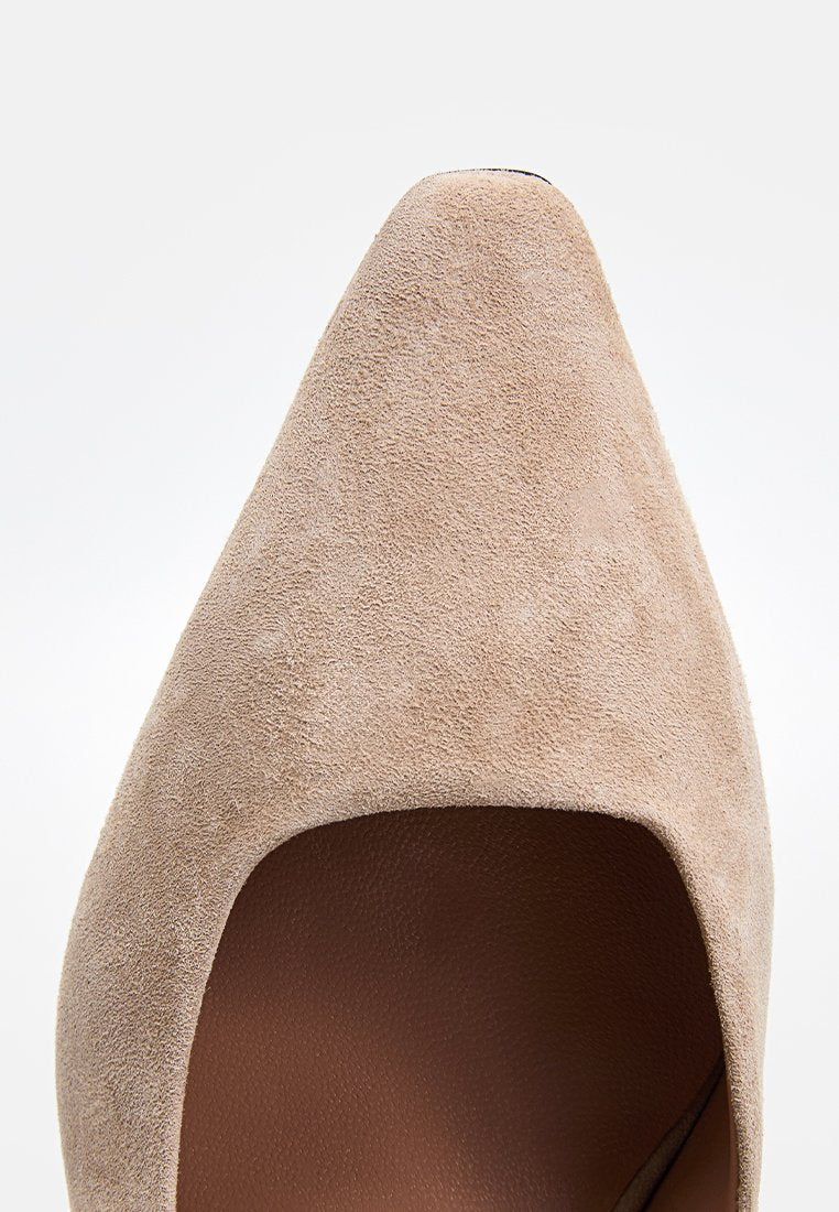Pollini
