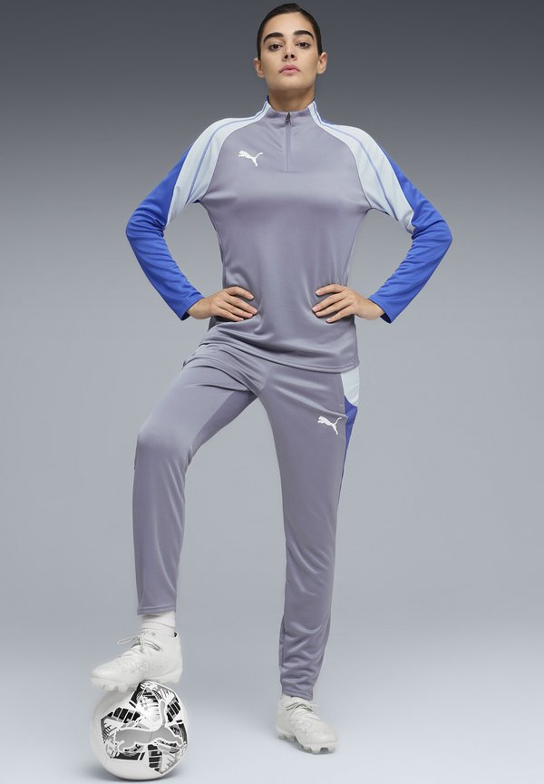 Puma INDIVIDUALBLAZE TRAINING PANTS - Tracksuit bottoms - gray sky puma/white royal sapphire