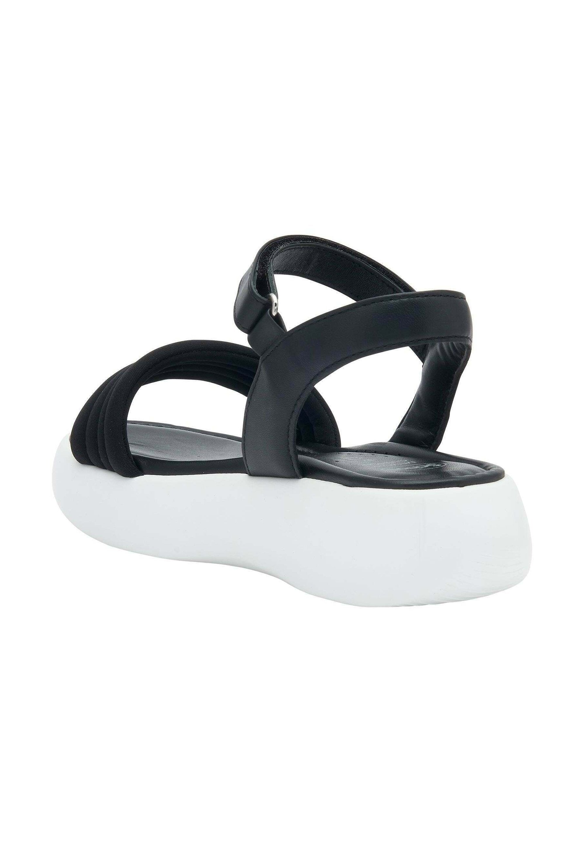 Scholl BOCA