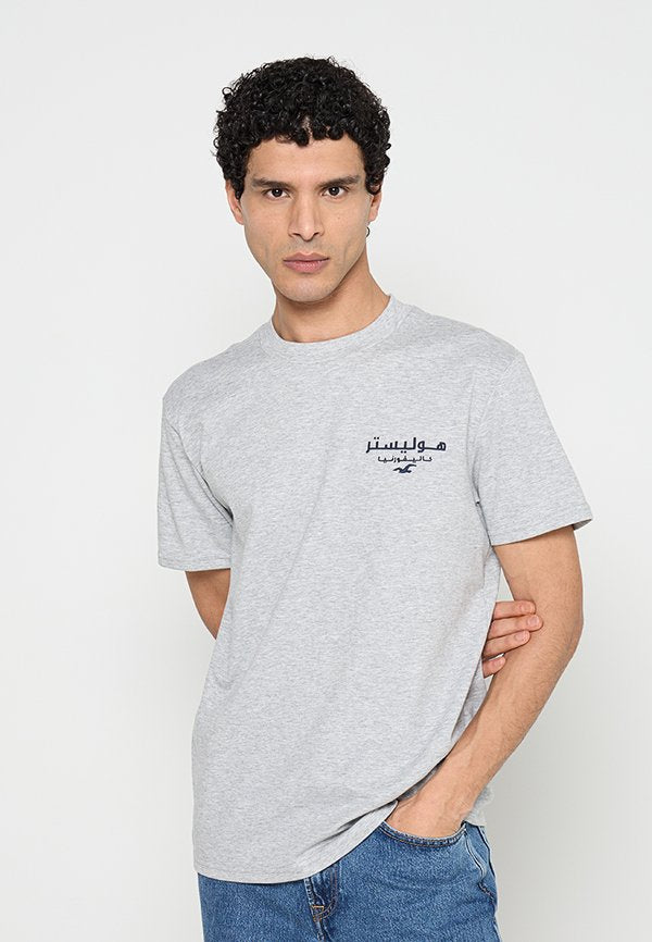 Hollister Co. RELAXED FIT