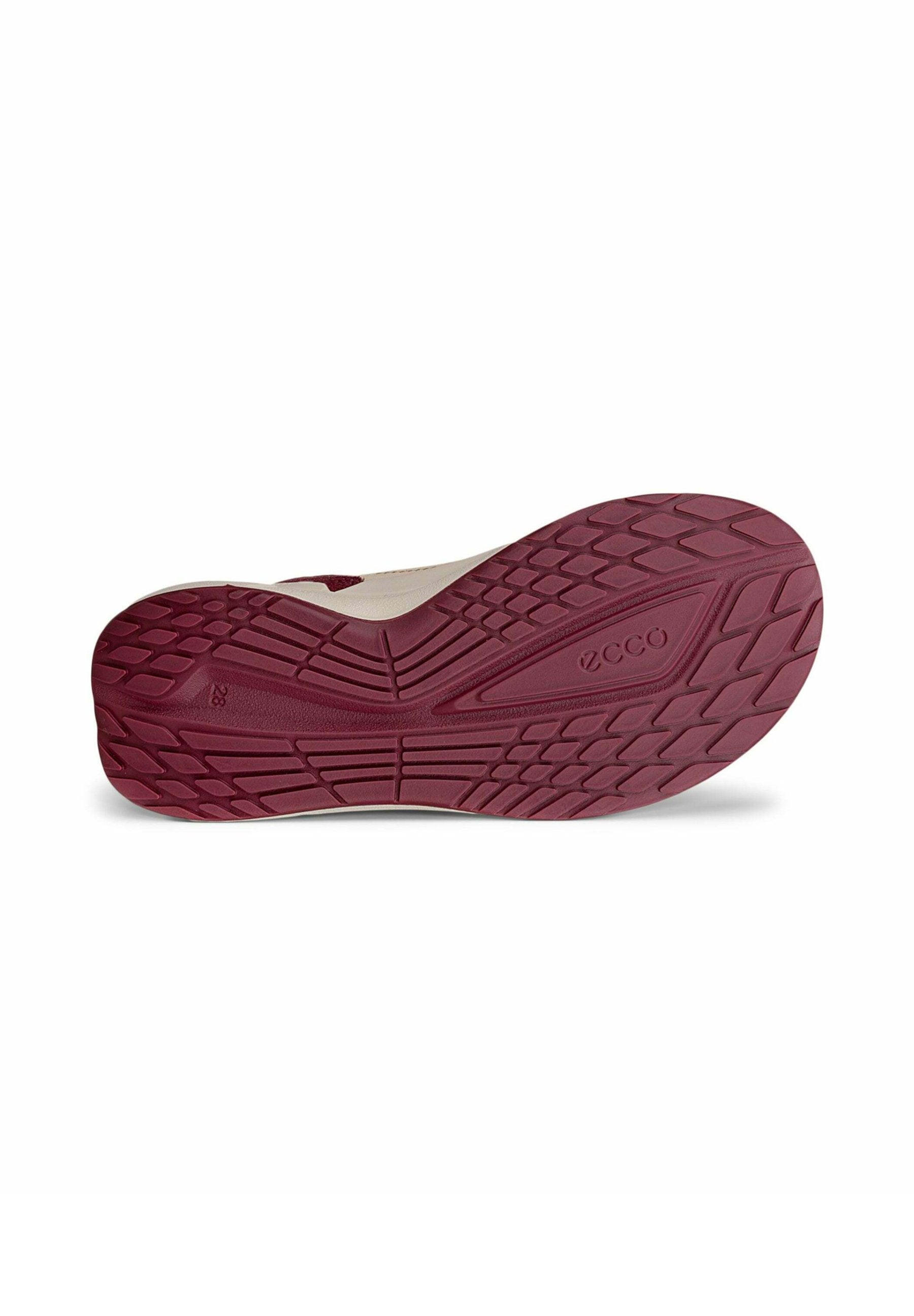 ECCO BIOM 2.2