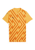 Puma TEAMGLORY