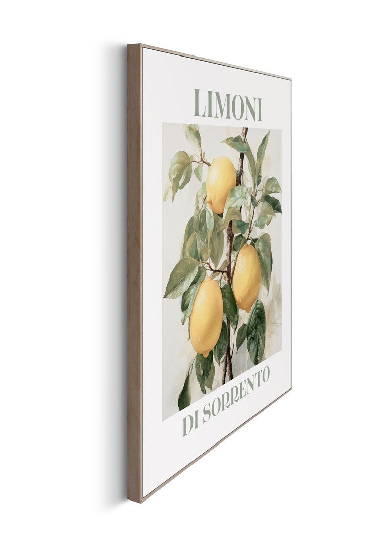 Orange Wallz LIMONI