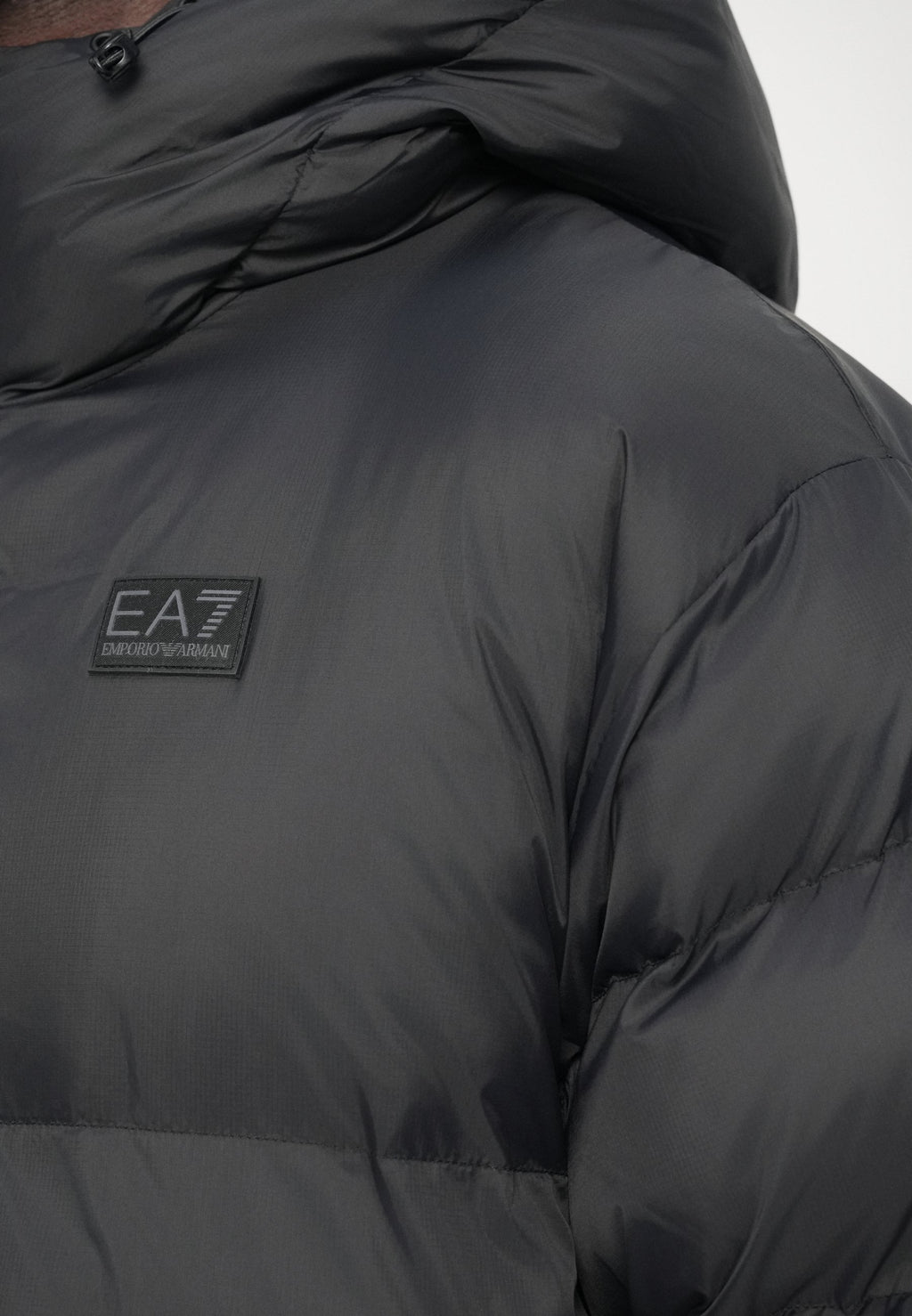 MOUNTAIN POLAR BIG LOGO Media 7
