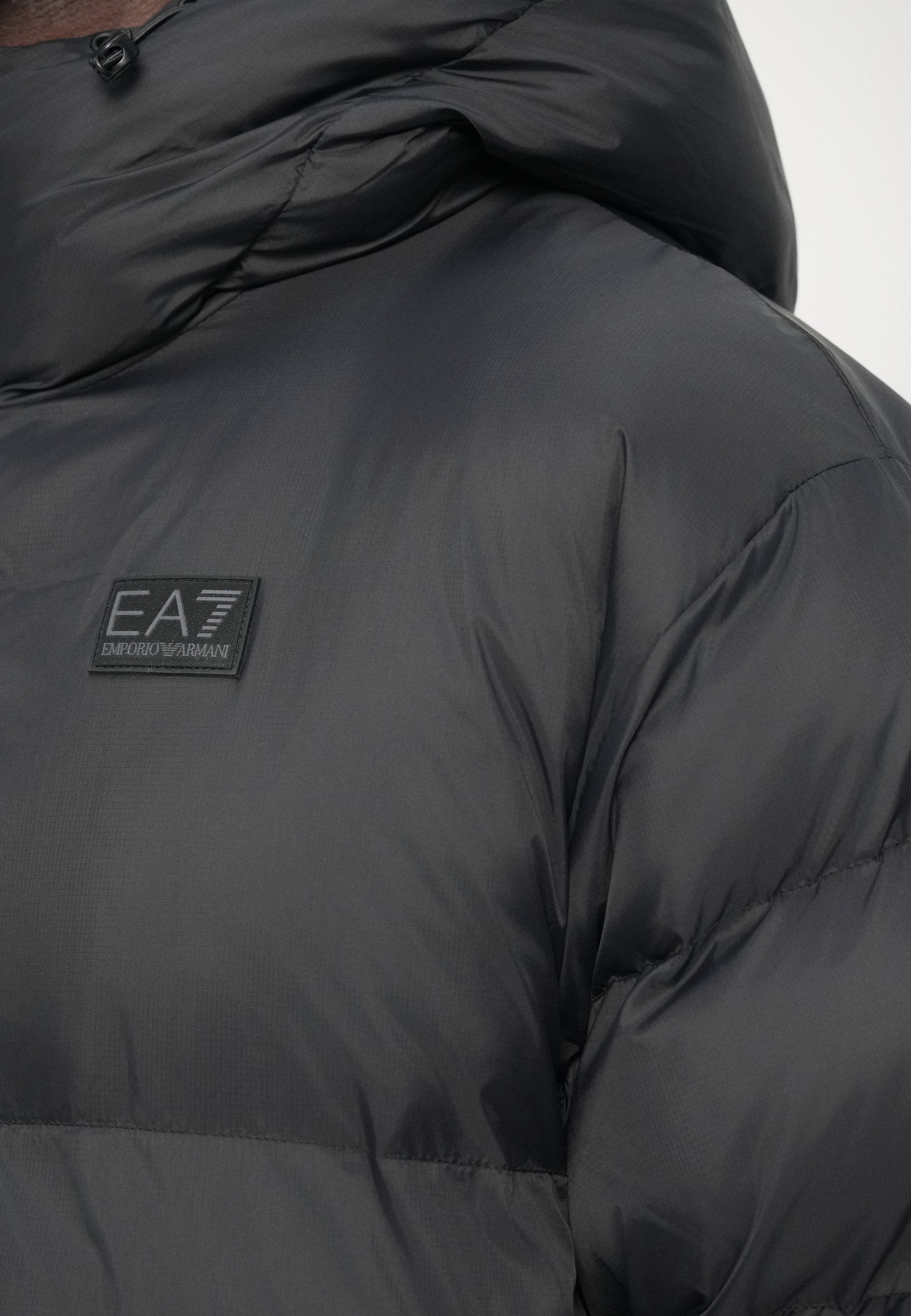 MOUNTAIN POLAR BIG LOGO Media 7