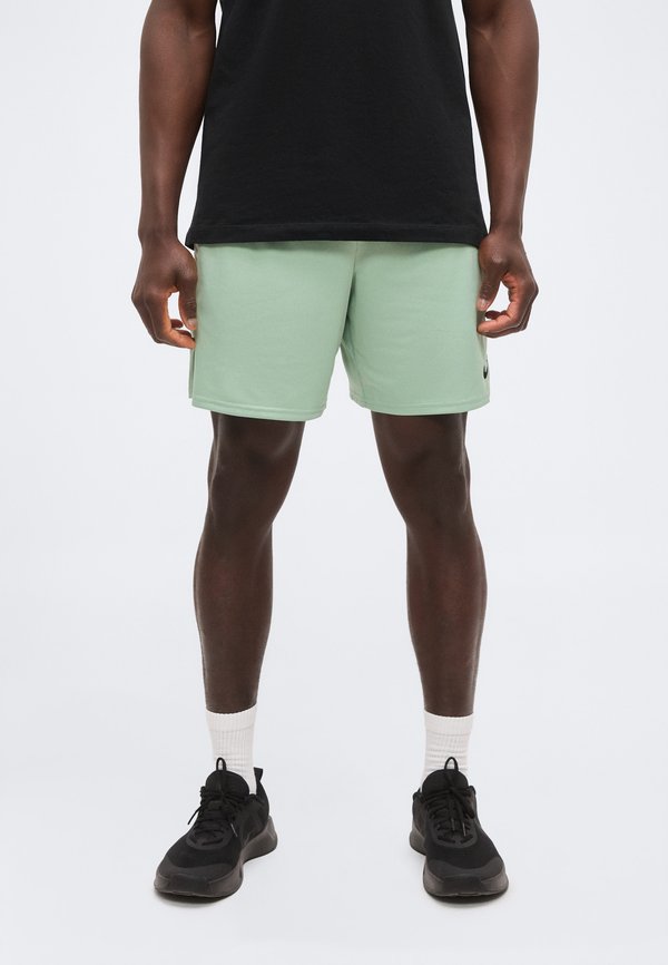 Nike Performance FLEX SHORT  - Sports shorts - steam/black