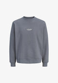 Jack & Jones JJESOHO SWEAT CREW NECK NOOS PLS - Sweatshirt - turbulence