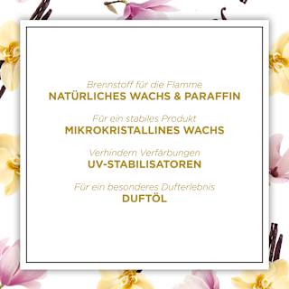 Duftkerze im Glas Himalaya-Magnolie & Vanille 205 g BOTANICA BY AIR WICK