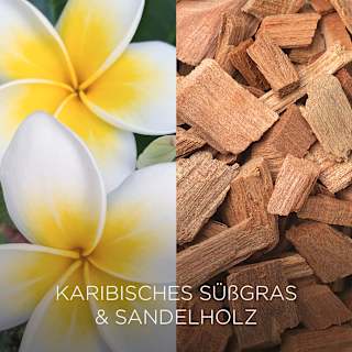 Duftkerze im Glas Karibisches Süßgras & Sandelholz 205 g BOTANICA BY AIR WICK