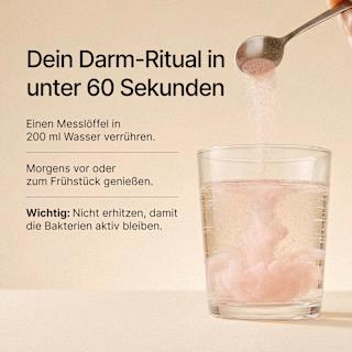 Daily Gut Darm Pulver Erdbeer-Geschmack BRAINEFFECT