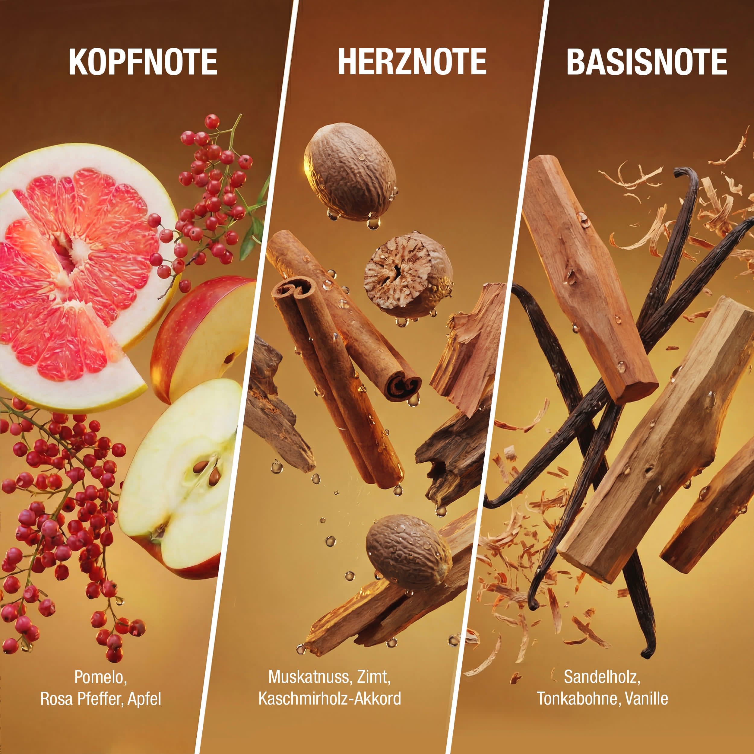 bruno banani None Media 5