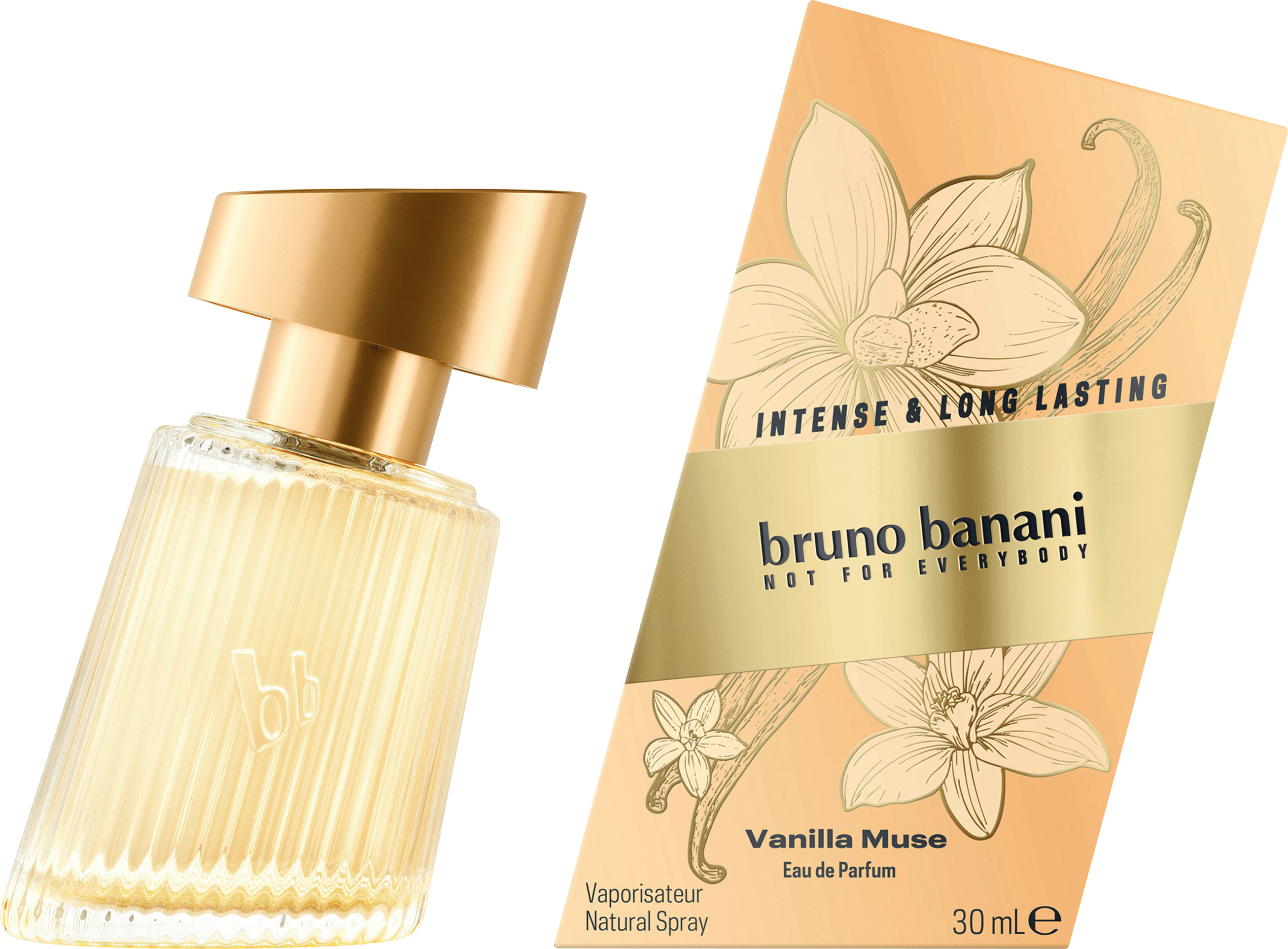 bruno banani None Media 1
