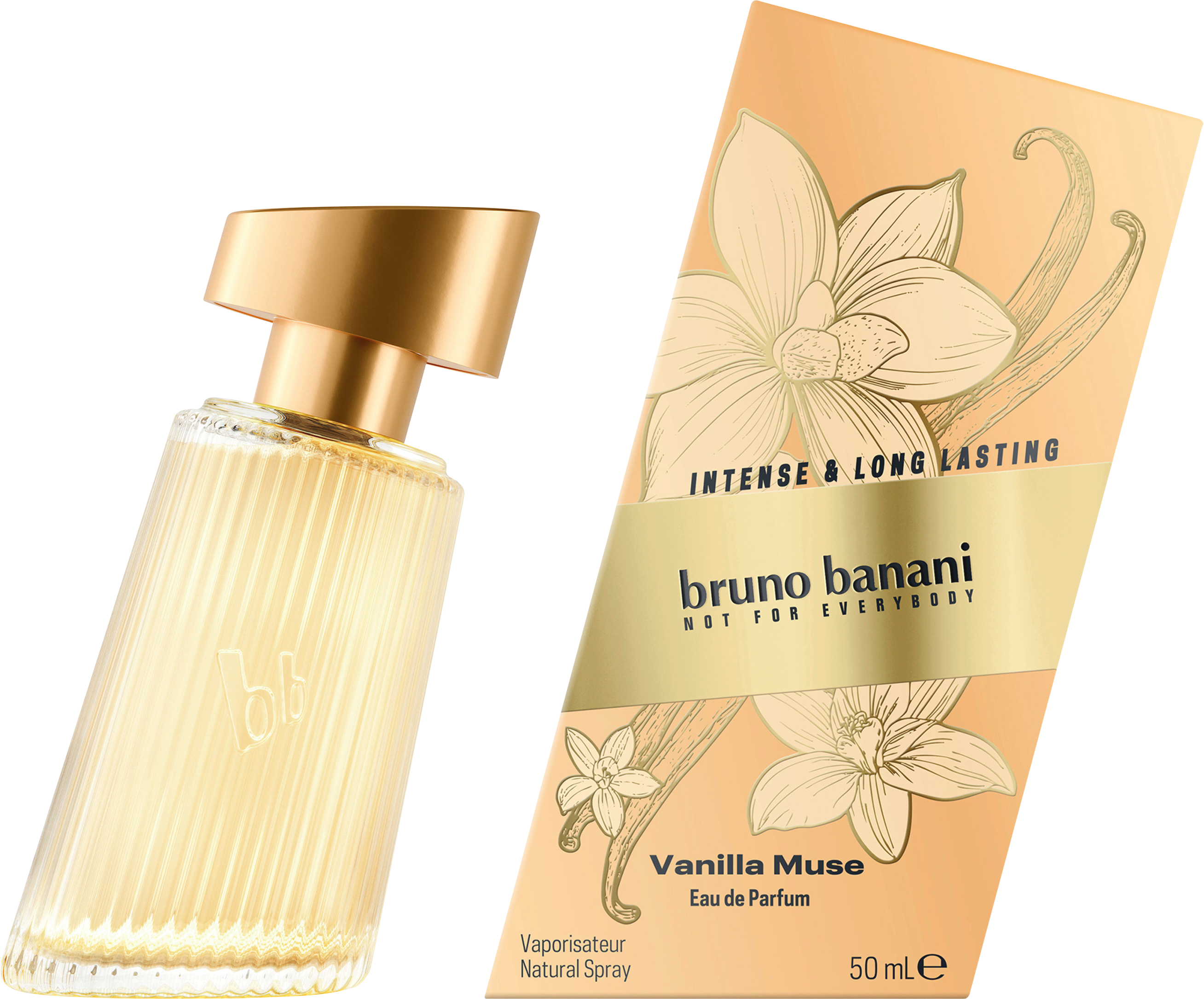 bruno banani None Media 1