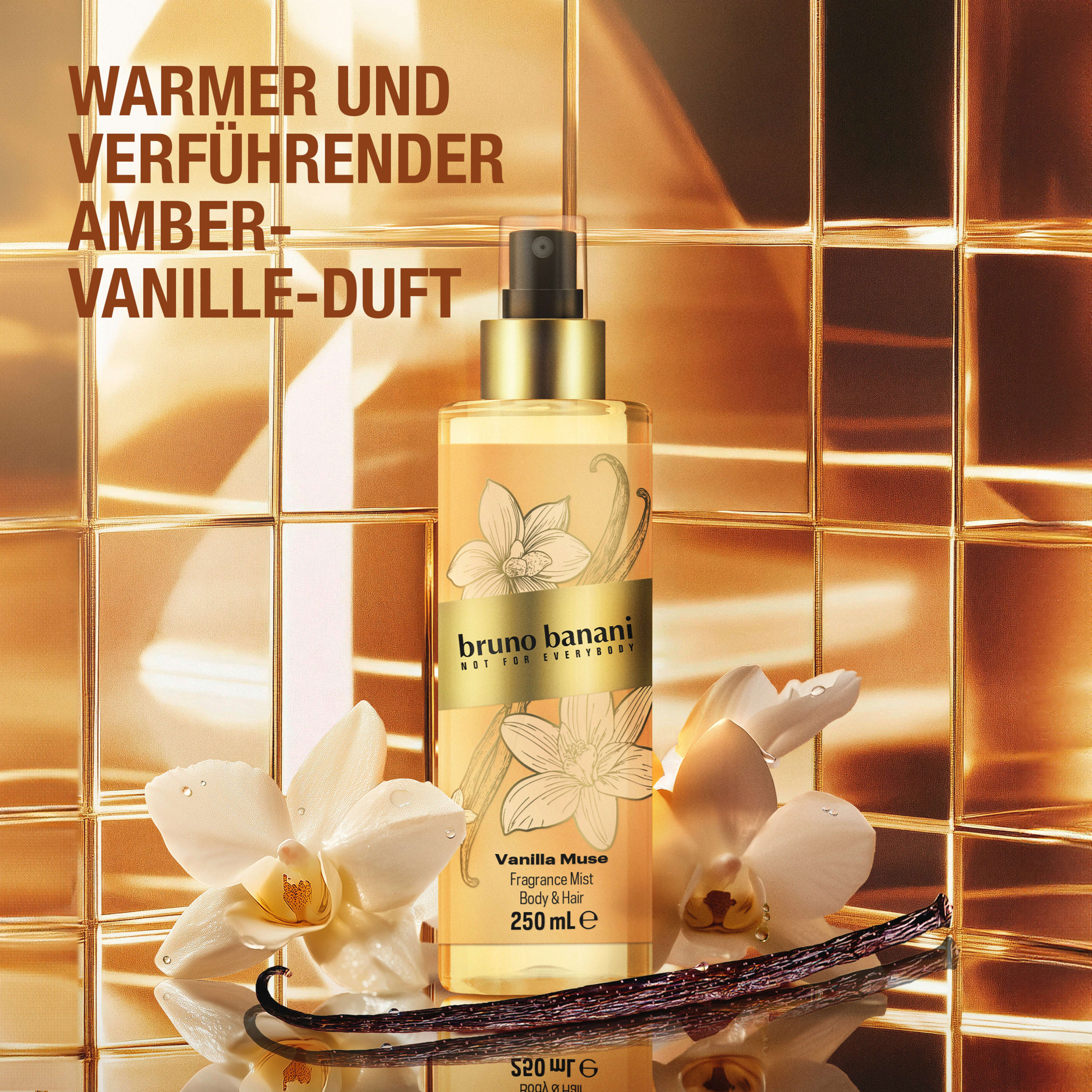 bruno banani None Media 4