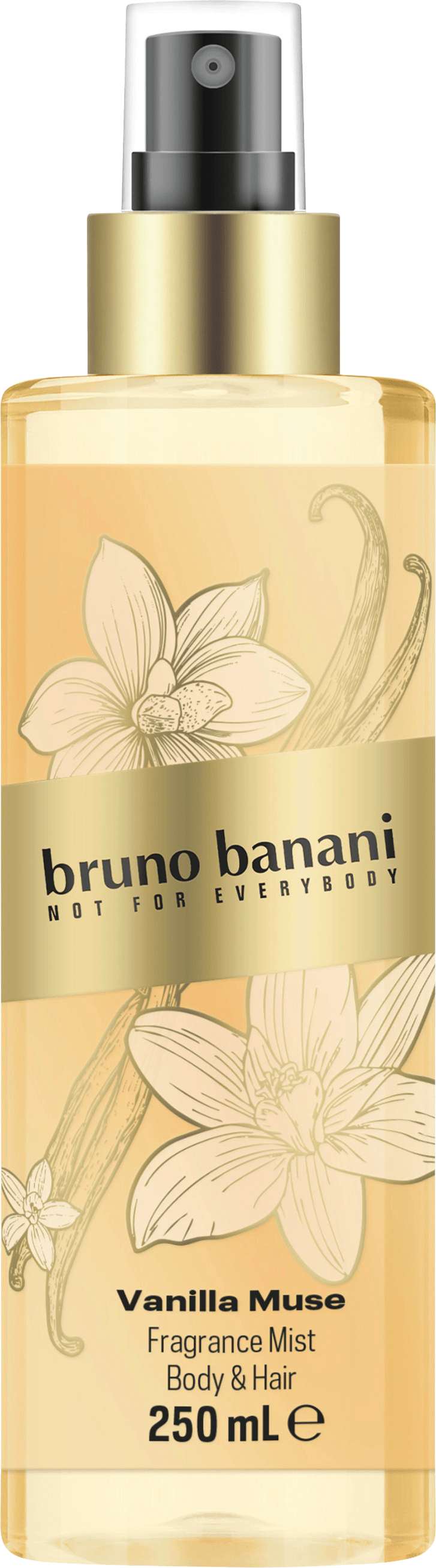 bruno banani None Media 1