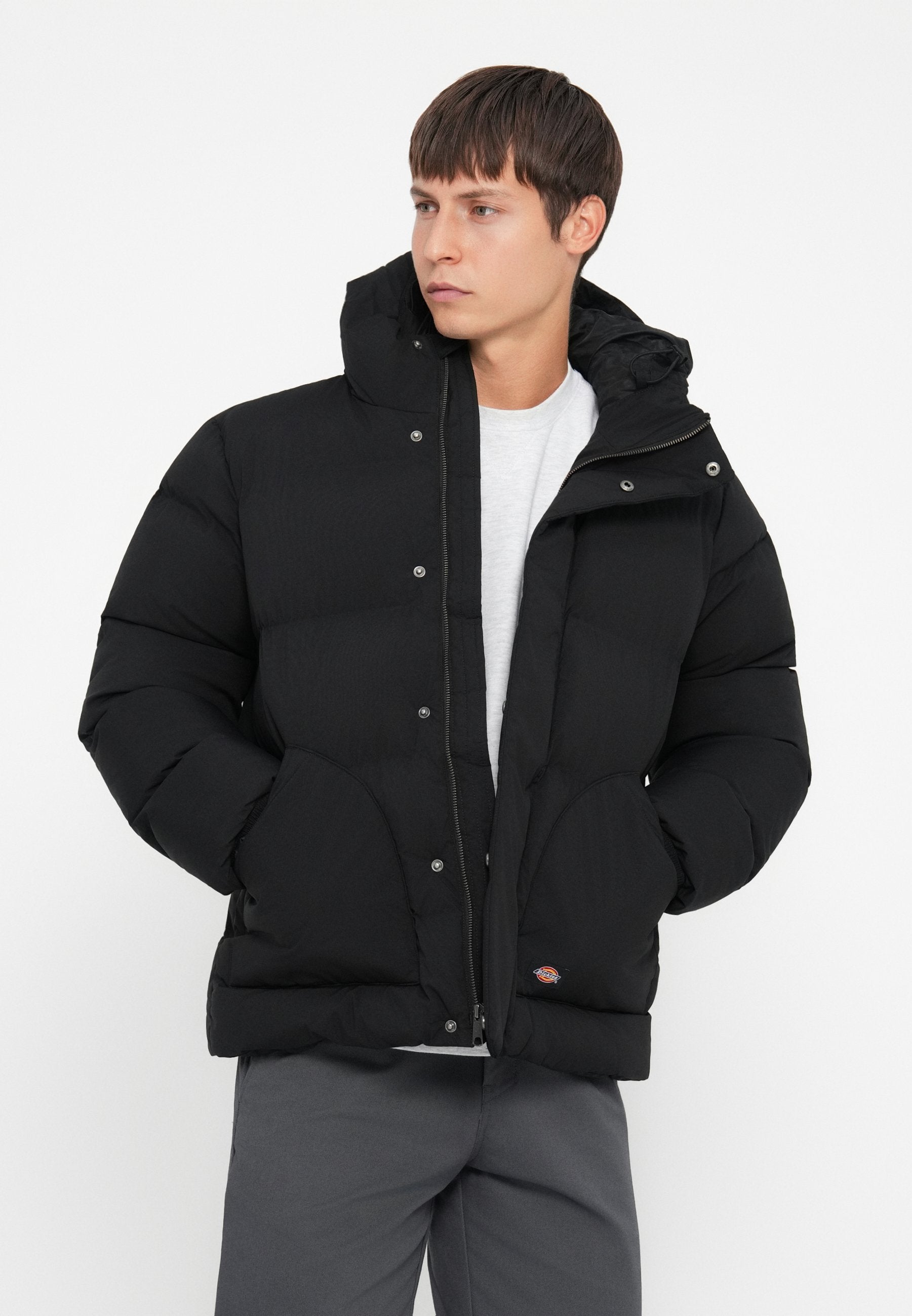 Dickies EAGLEVILLE HOODED PUFFER