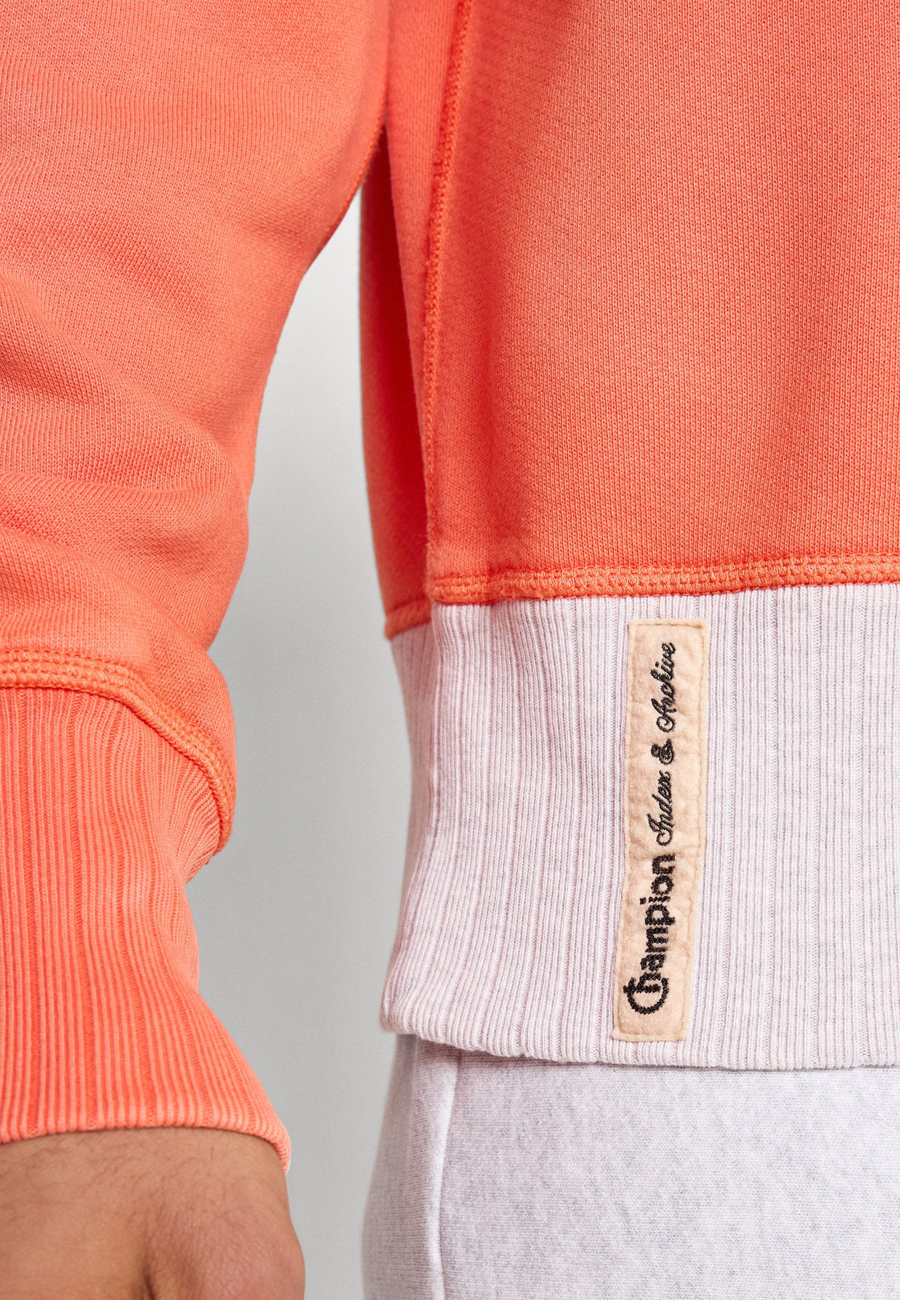 Champion INDEX & ARCHIVE