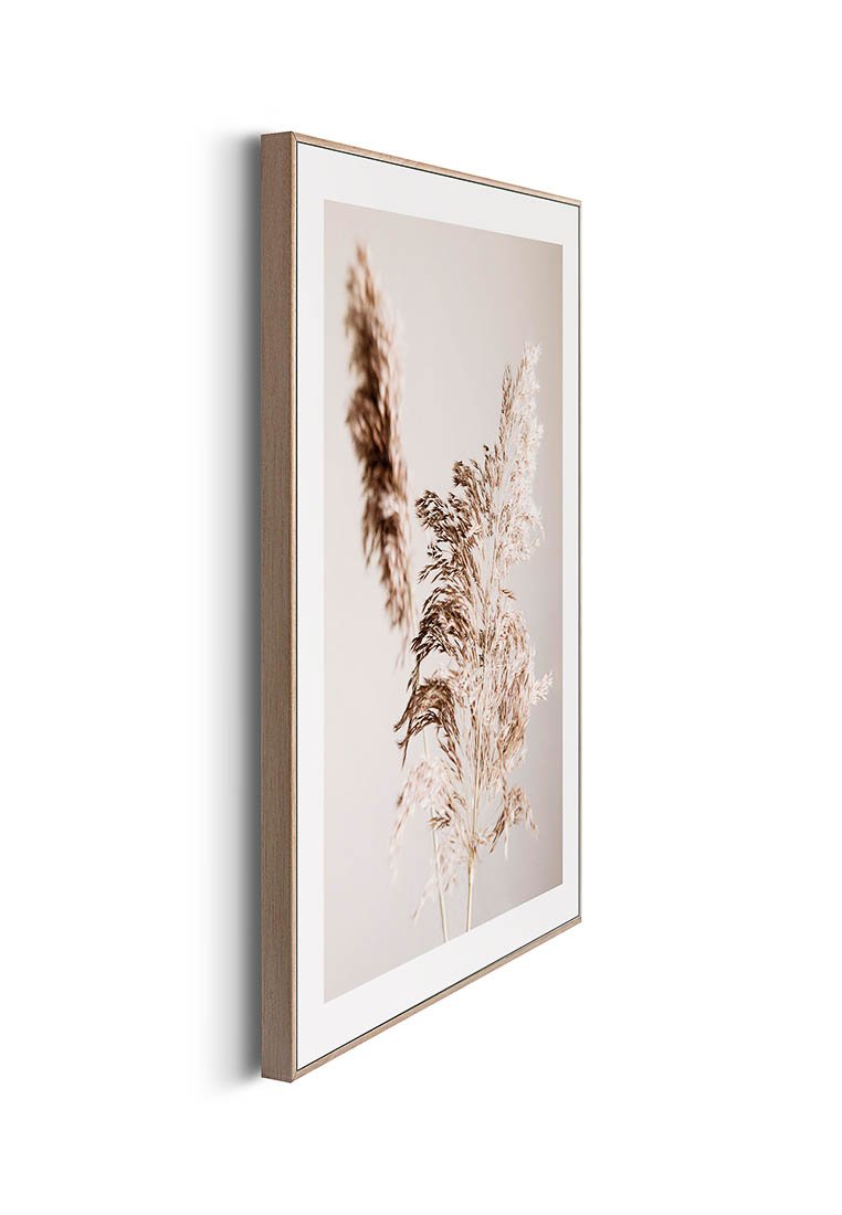 Orange Wallz DRIED FLOWER 3 PACK