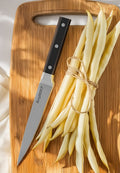 BergHOFF GENE