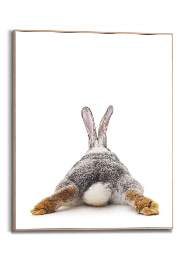 Orange Wallz RABBIT