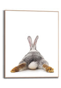 Orange Wallz RABBIT