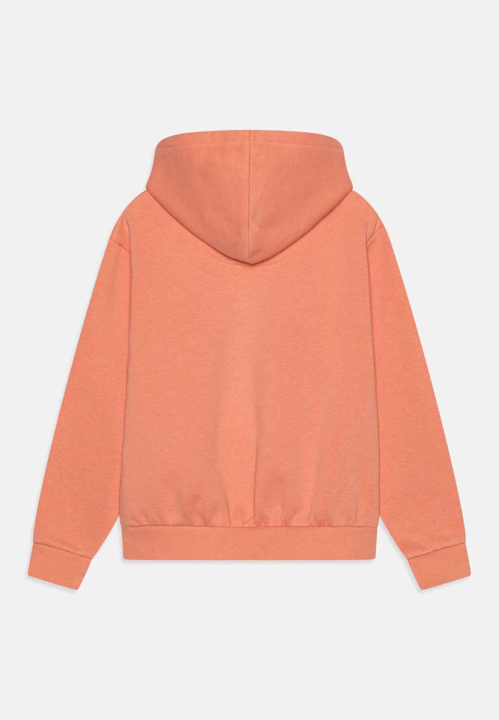 Levi's® POSTER LOGO HOODIE