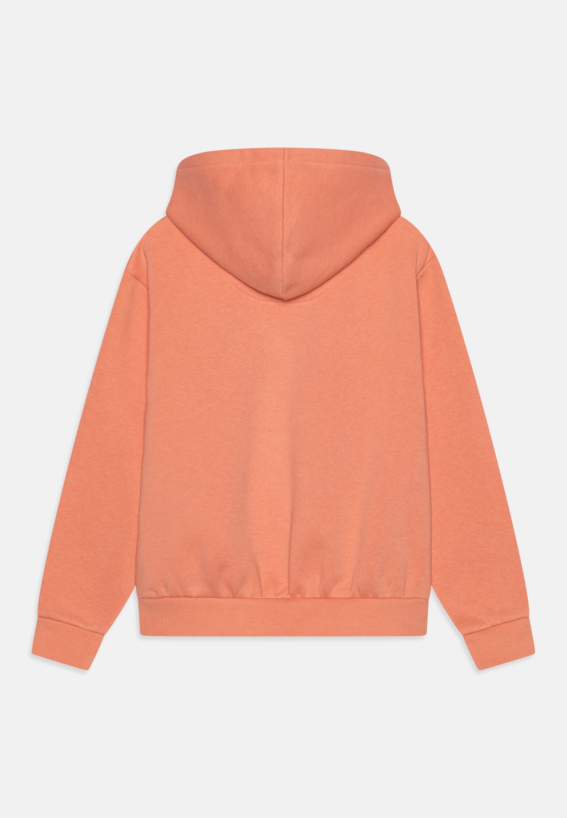 Levi's® POSTER LOGO HOODIE