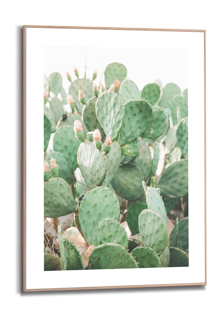 Orange Wallz FLORAL CACTI