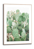Orange Wallz FLORAL CACTI