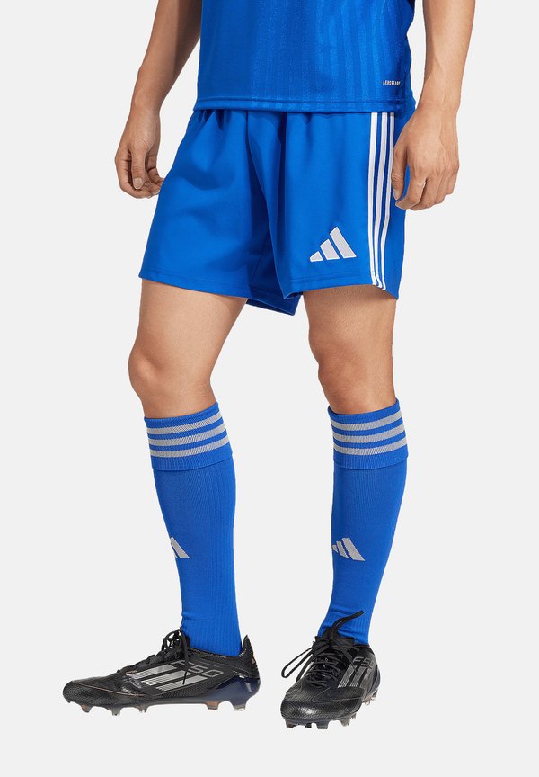adidas Performance FUSSBALL - TEAM - TASTIGO - Sports shorts - blau