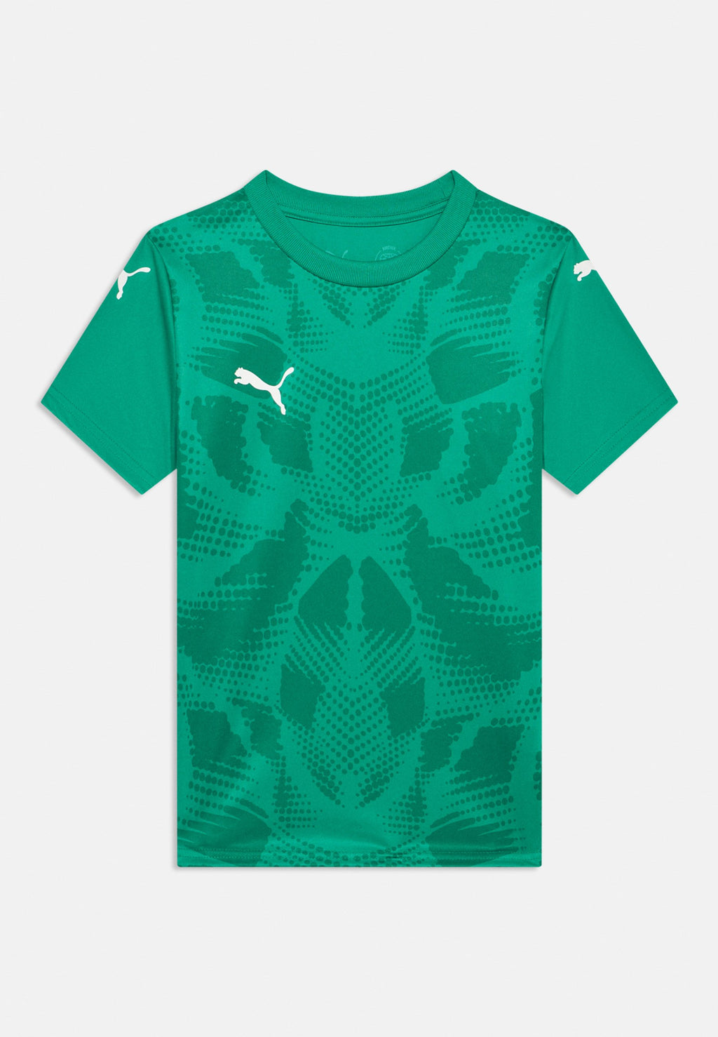 Puma TEAMULTIMATE