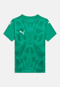 Puma TEAMULTIMATE