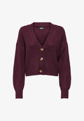 ONLY ONLCAROL NICE CARDIGAN - Cardigan - winetasting