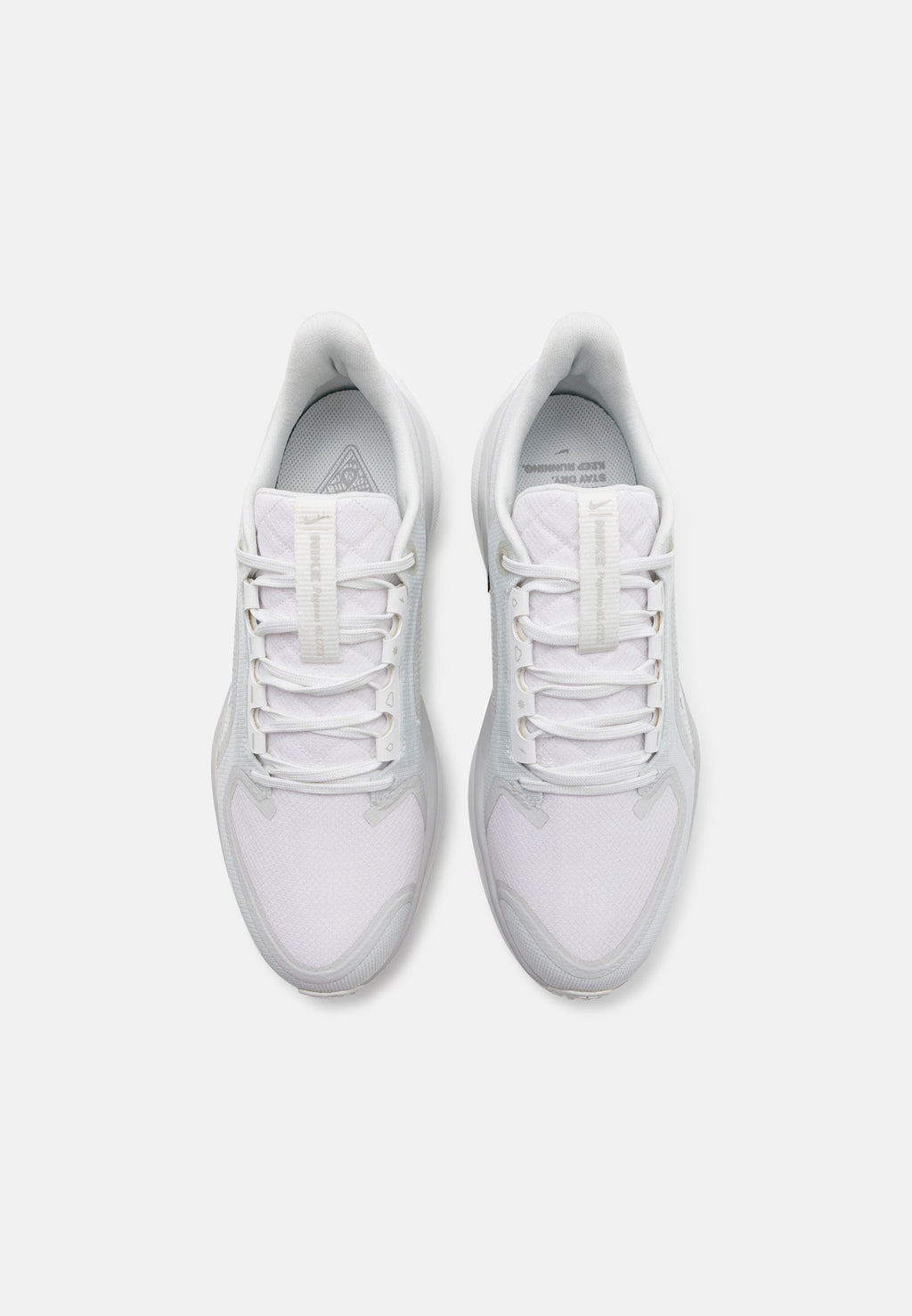 Nike Performance PEGASUS 41 GTX
