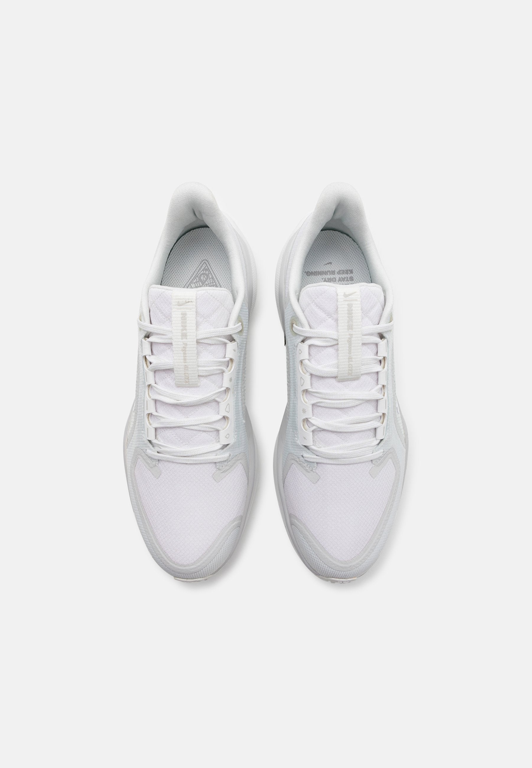 Nike Performance PEGASUS 41 GTX