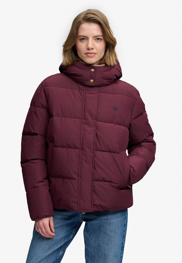 Superdry & Co SUPERDRY PREMIUM HOODED PUFFER JACKET.. - Winter jacket - fig purple