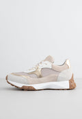 Bullboxer 703005E5C_