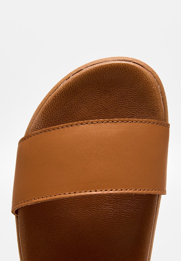 Scholl TAYLOR