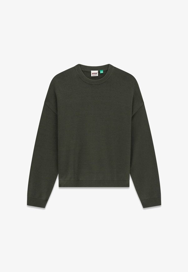 Guess Jumper - dunkelgrün