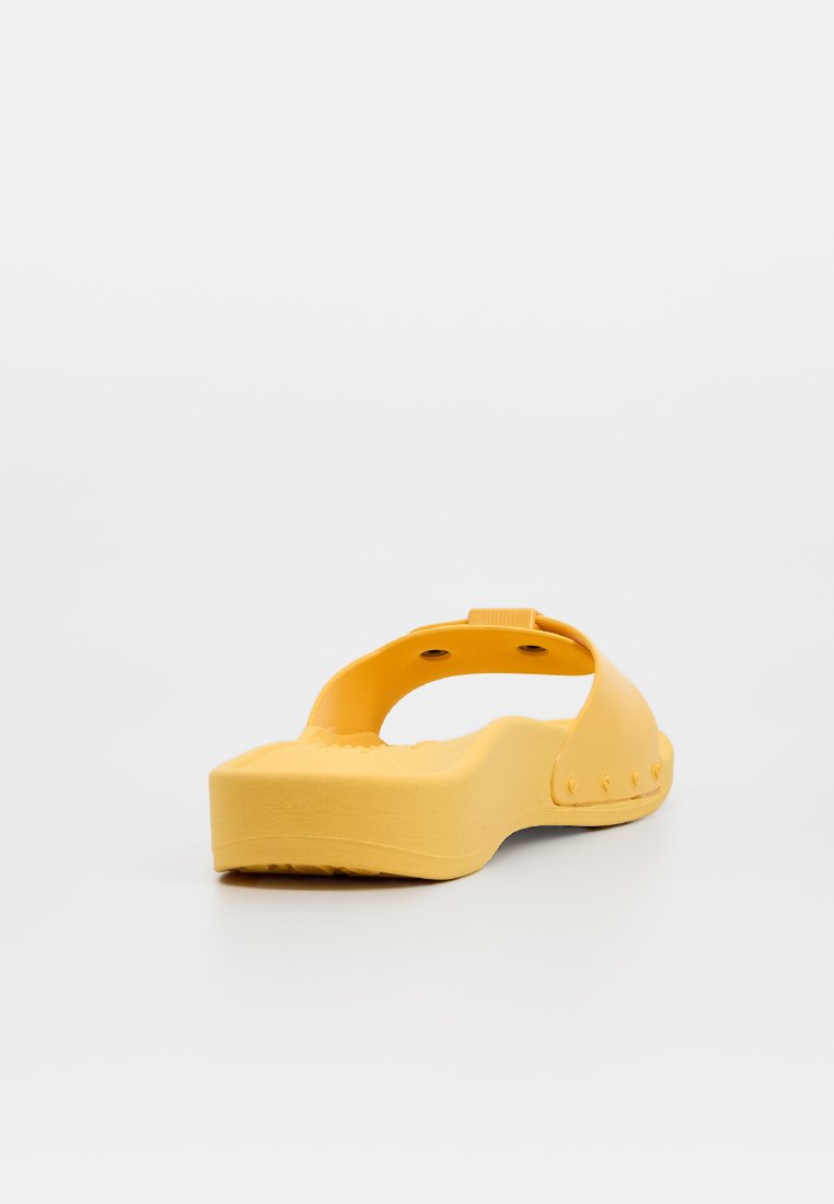 Scholl SUN