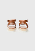 Pollini