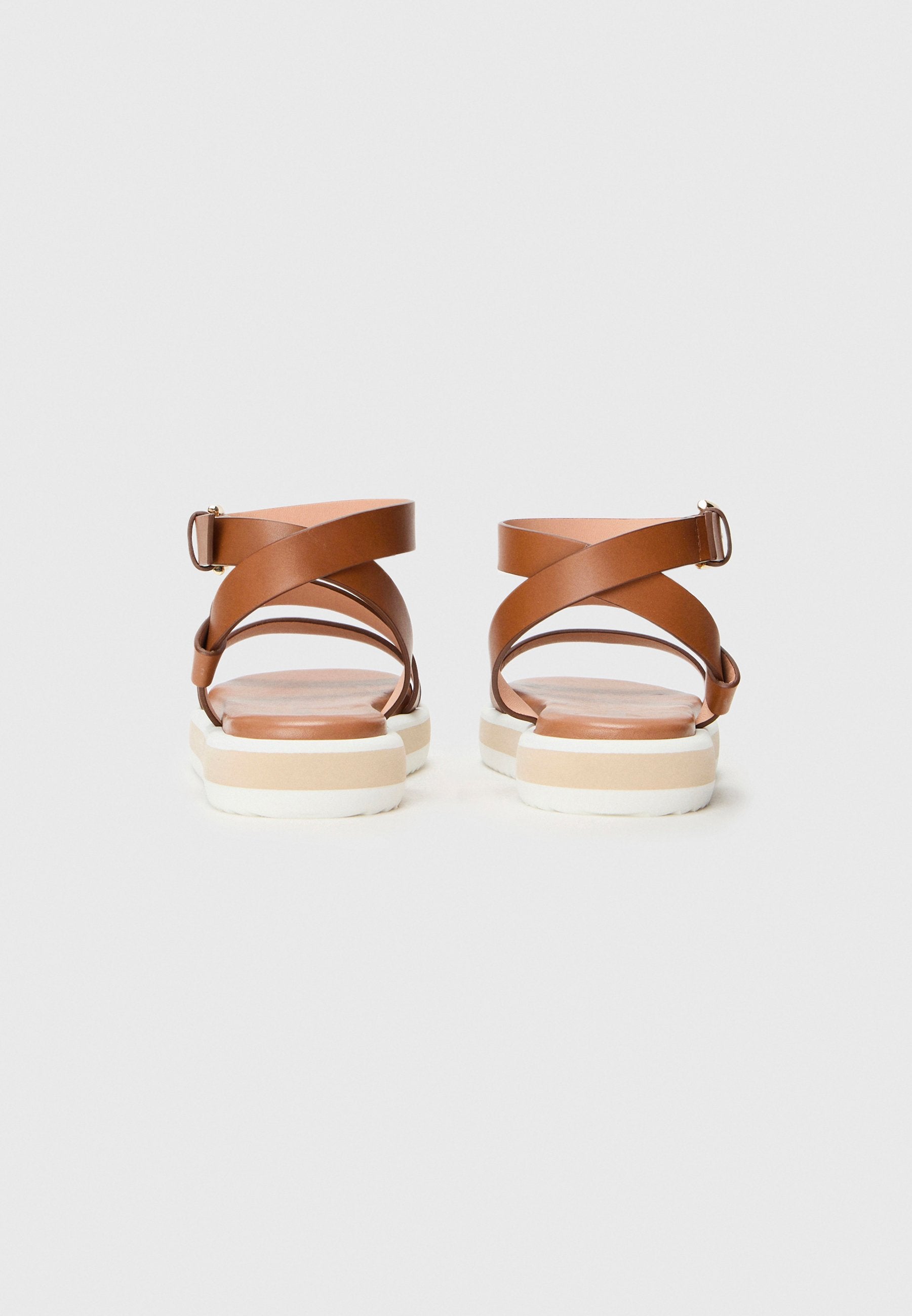 Pollini