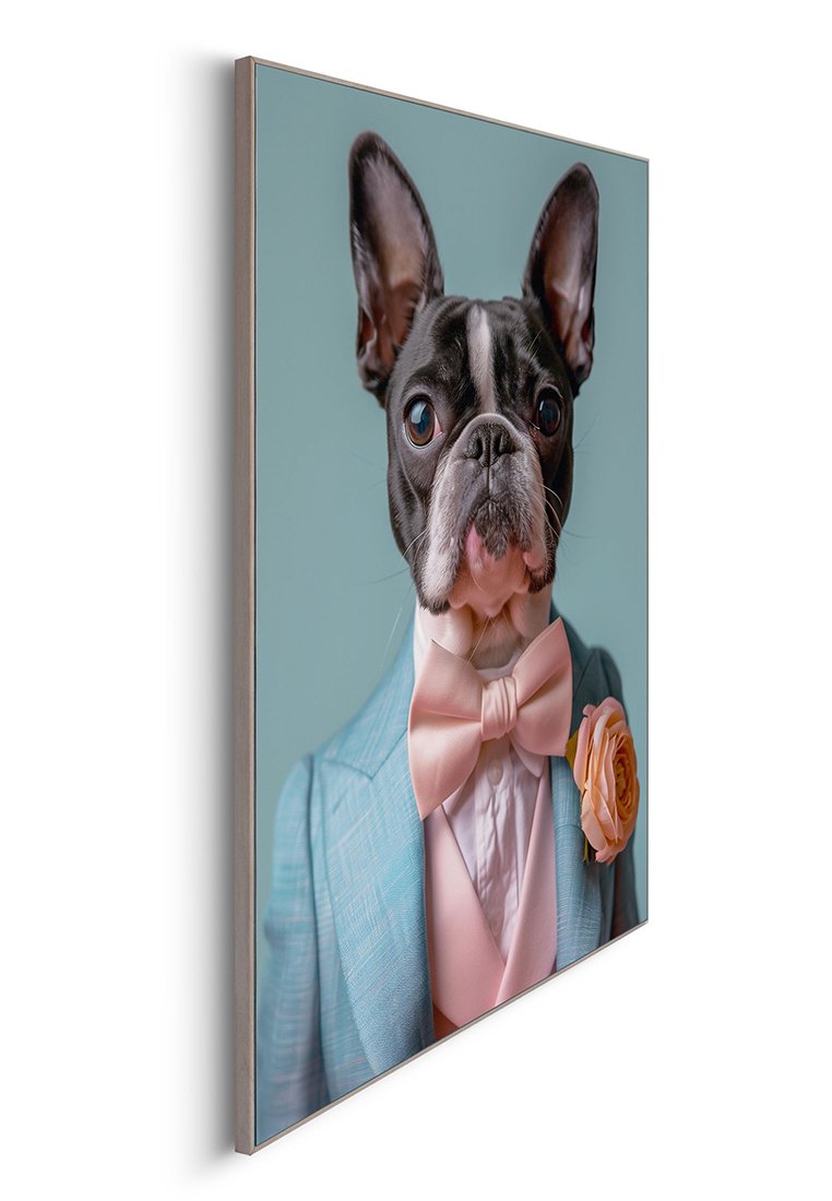 Orange Wallz DRESSED BOSTON TERRIER