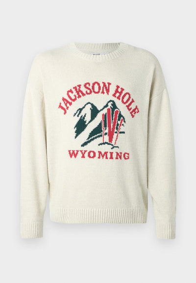 Hollister Co. INTARSIA CREW
