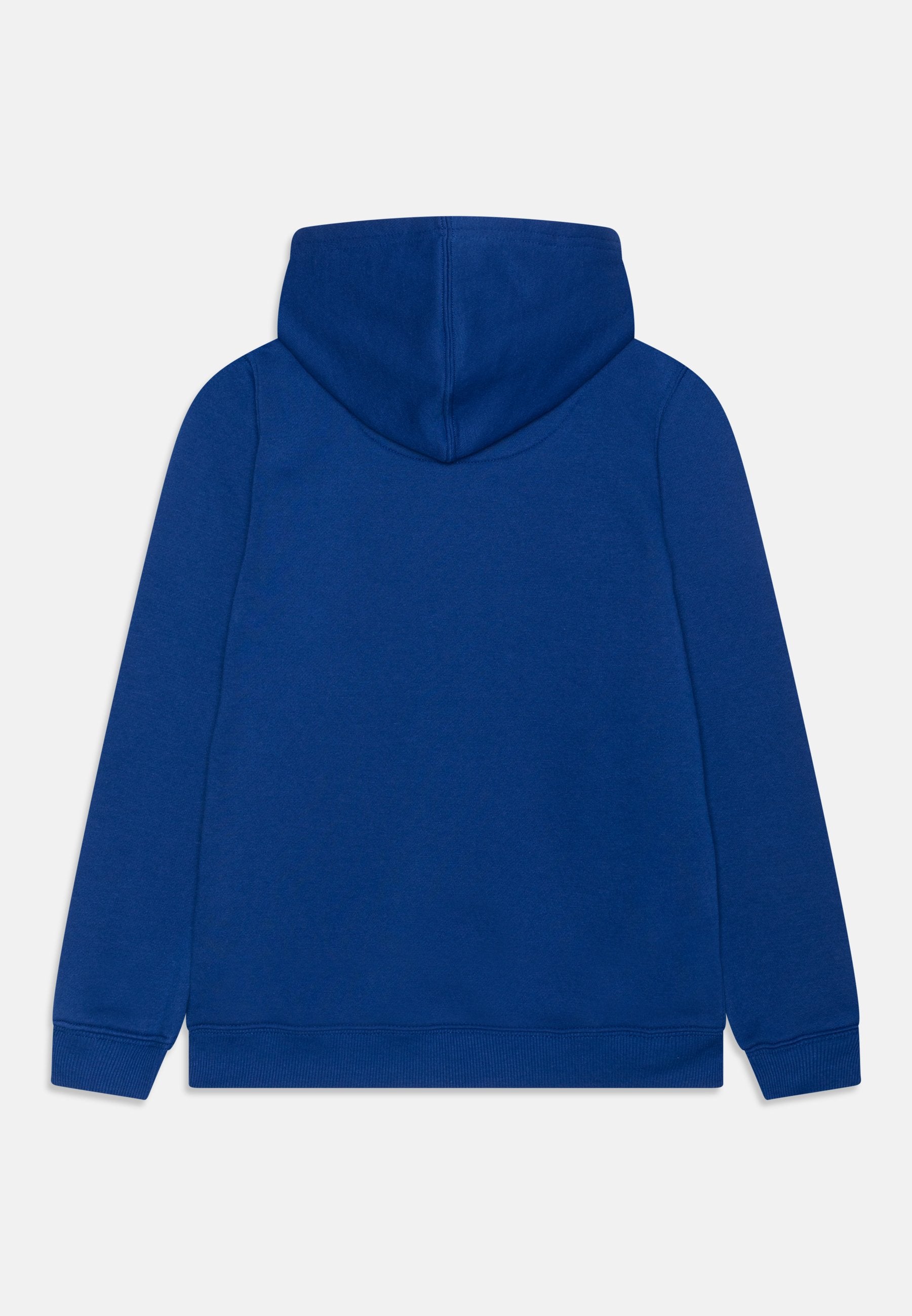 Levi's® BATWING FILL HOODIE
