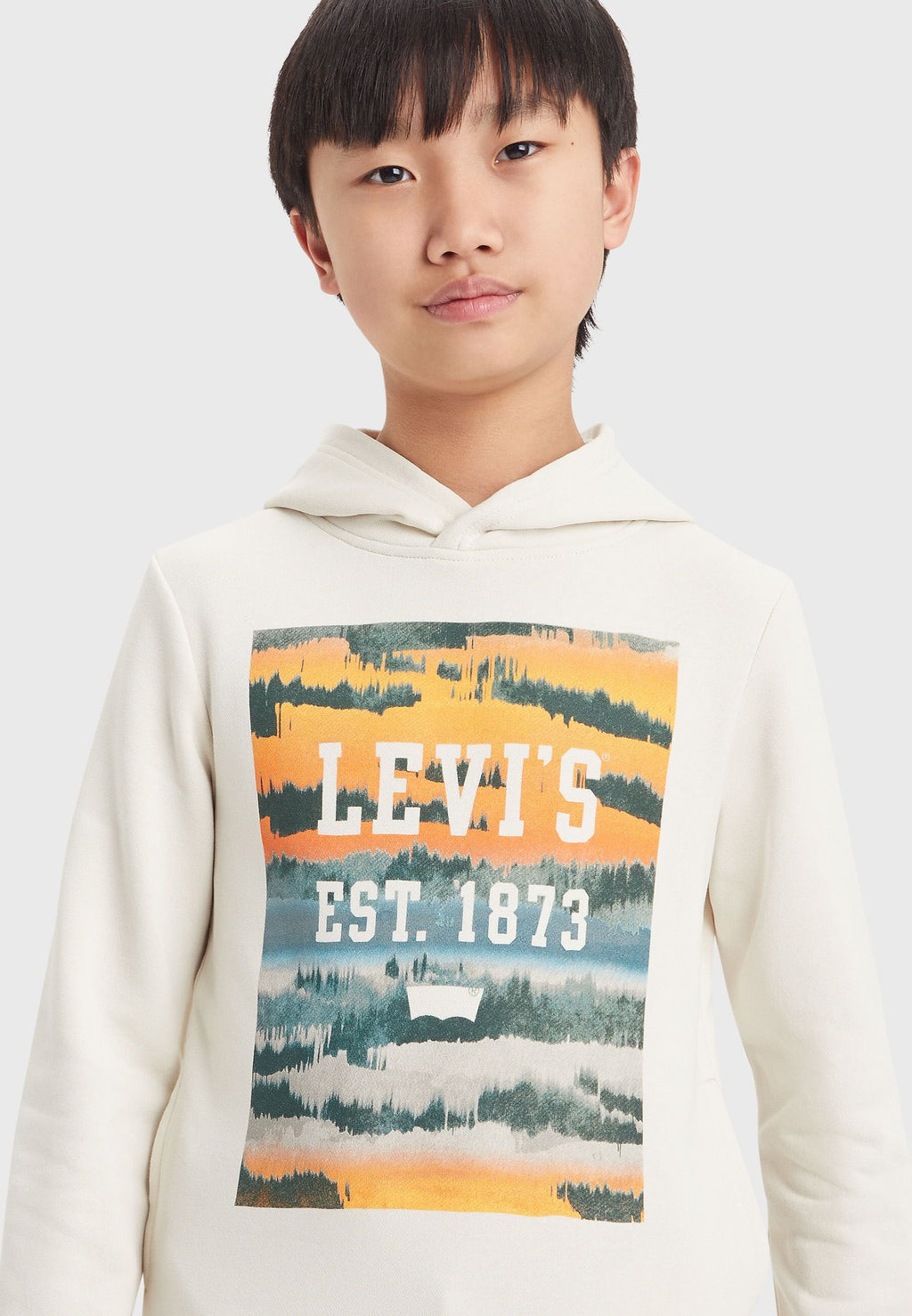 Levi's® LANDSCAPE BOX HOODIE