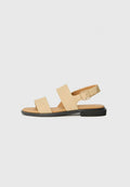 Camper EDY