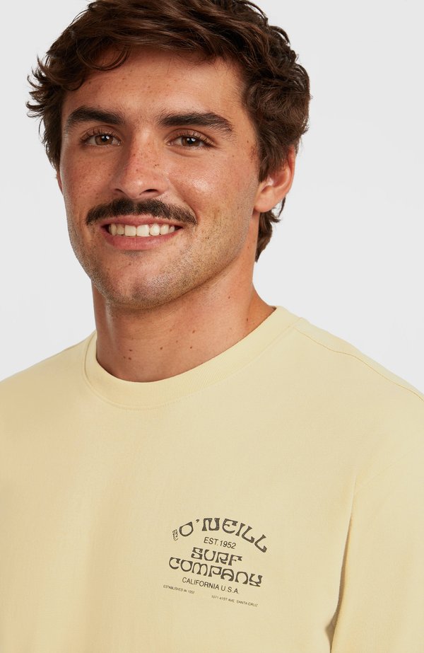 O'Neill CHEST PRINT - TEES SHORTSLEEVE